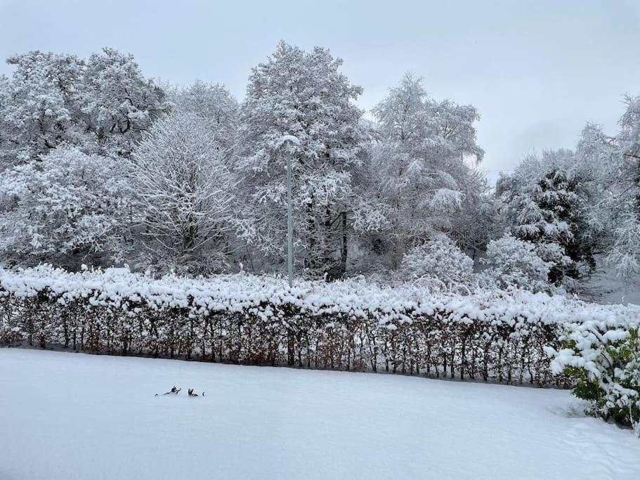 Bonny Wee Snug - Pod In Spean Bridge公寓 外观 照片